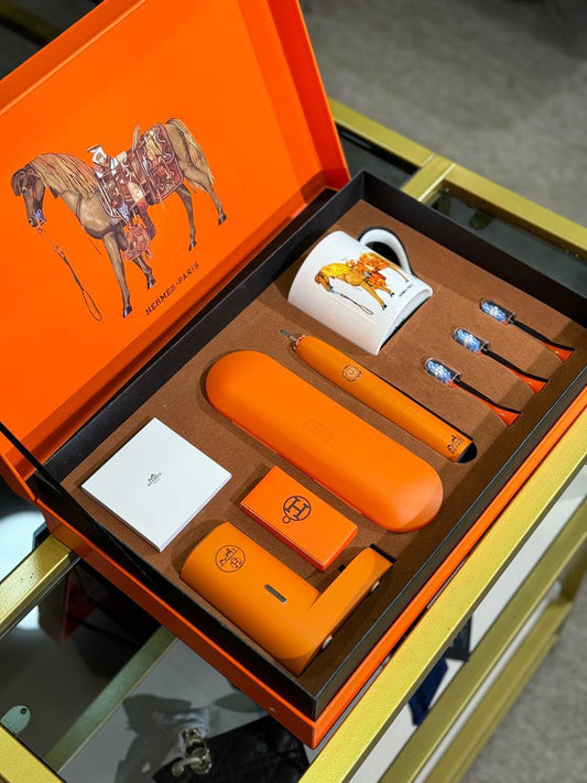 HERMES-Rechargeable Toothbrush Set